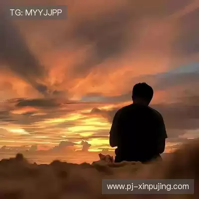 晏清飚